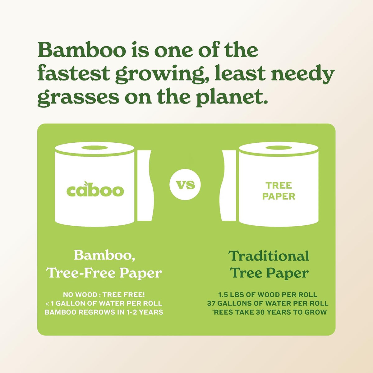 Caboo Tree Free Paper Towels, Sustainable, Toxin Free, 8 Family Size Rolls