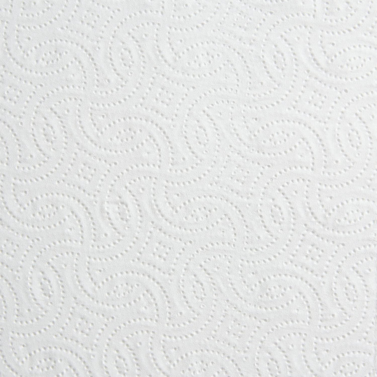 Coastwide Professional Paper Towels, 2-Ply, 85 Sheets/Roll, 30 Rolls/Pack