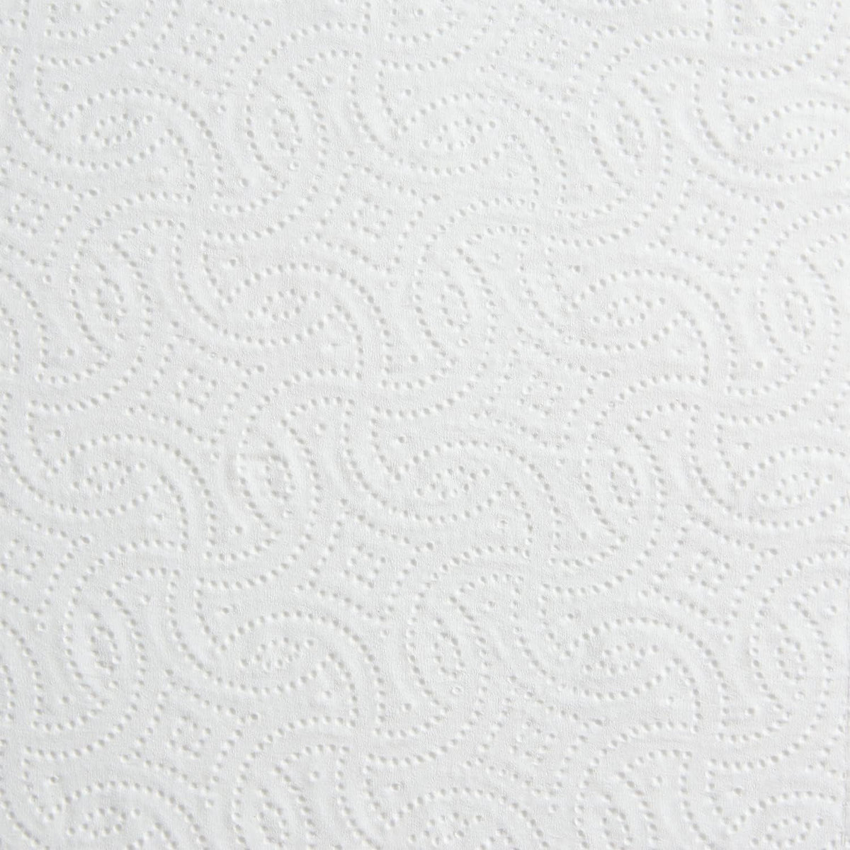 Coastwide Professional Jumbo Kitchen Paper Towels, 2-Ply, 12-Pack