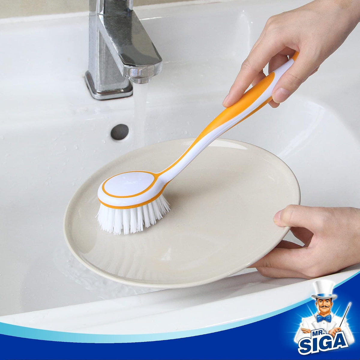 MR.SIGA Round Dish Brush with Suction Cup, Pack of 3