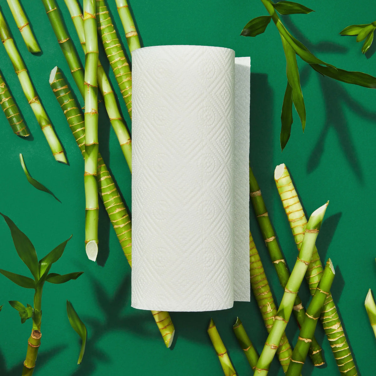 Grove Co. 2-Ply Bamboo Kitchen Paper Towels (5.4" x 11", 140 Sheets/Roll), FSC Certified, Absorbent, Dye-Free, Bleach-Free, Unscented Home Care Supplies for Kitchen Spills & Cleanup