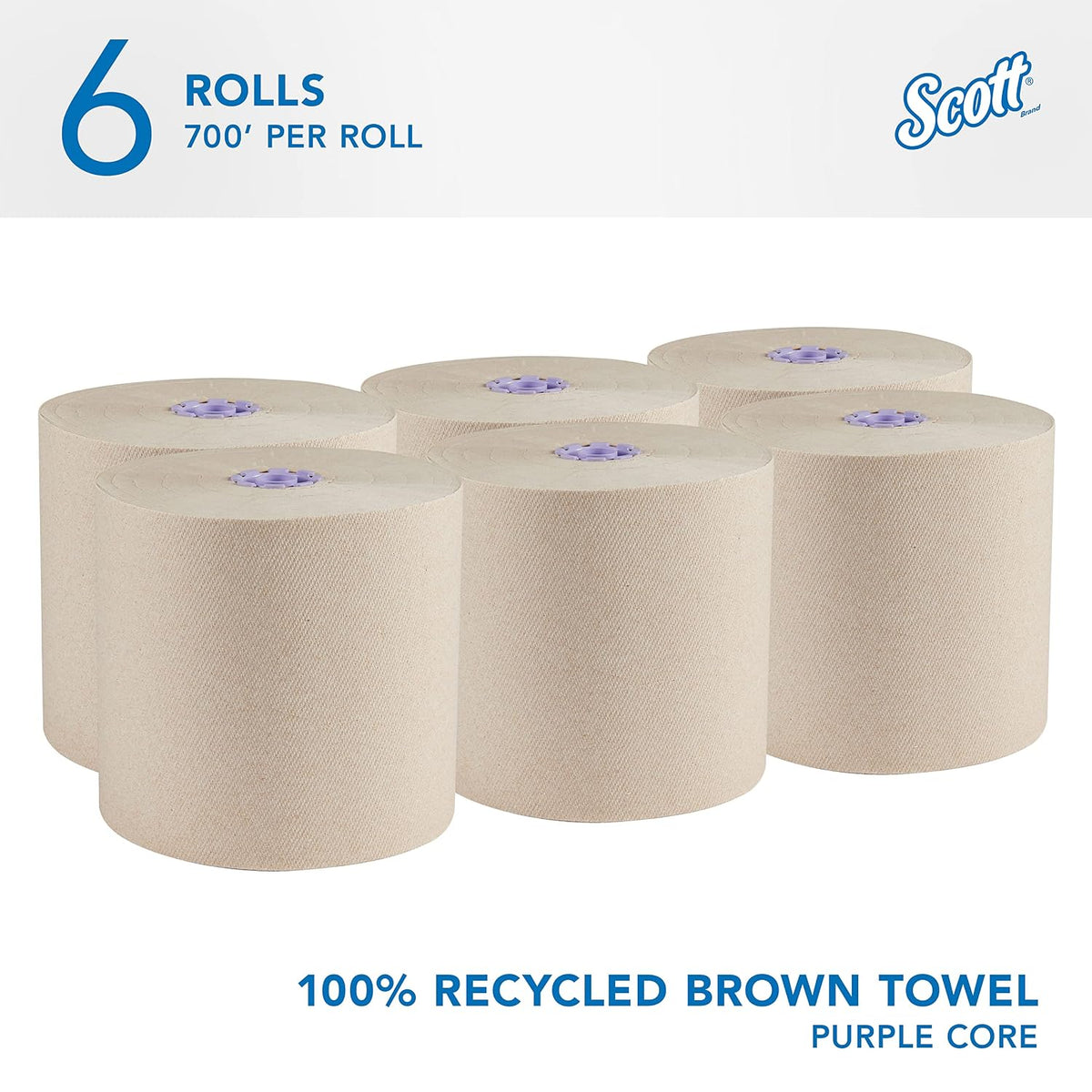 Scott Professional Hard Roll Paper Towels, Bulk, 6 Rolls x 700' (54038)