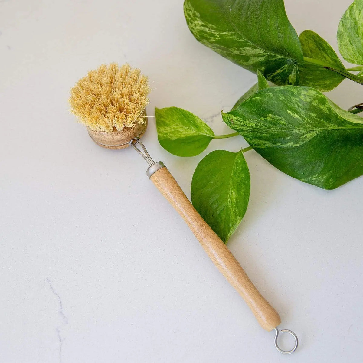 Long-Handled Bamboo Dish Brush with Reusable Handle and Replaceable Compostable Head, Plastic-Free, Eco-Friendly, Dish Washing Tool, Cleaning